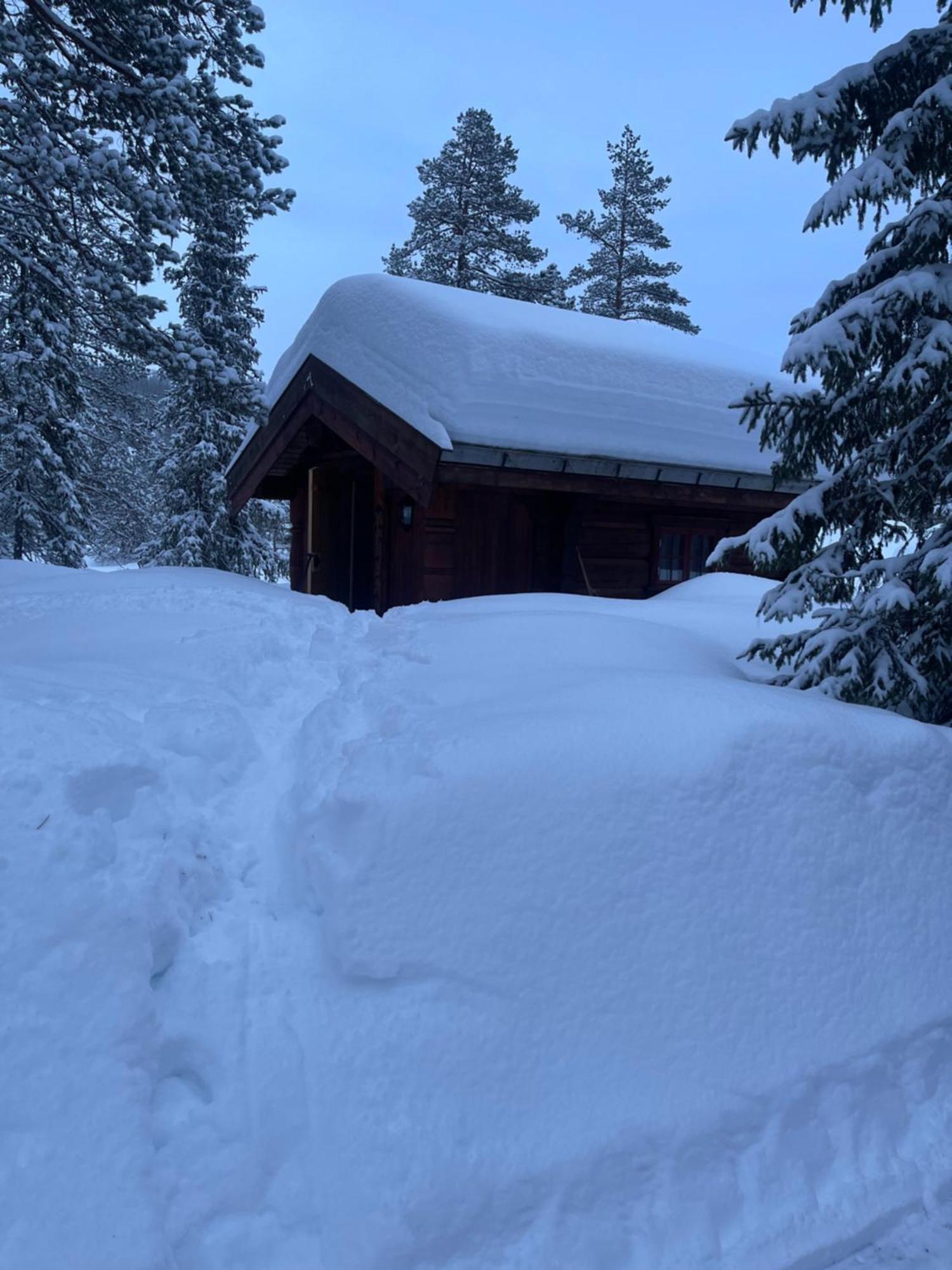 Hytta Pa Oyfjell Villa ภายนอก รูปภาพ