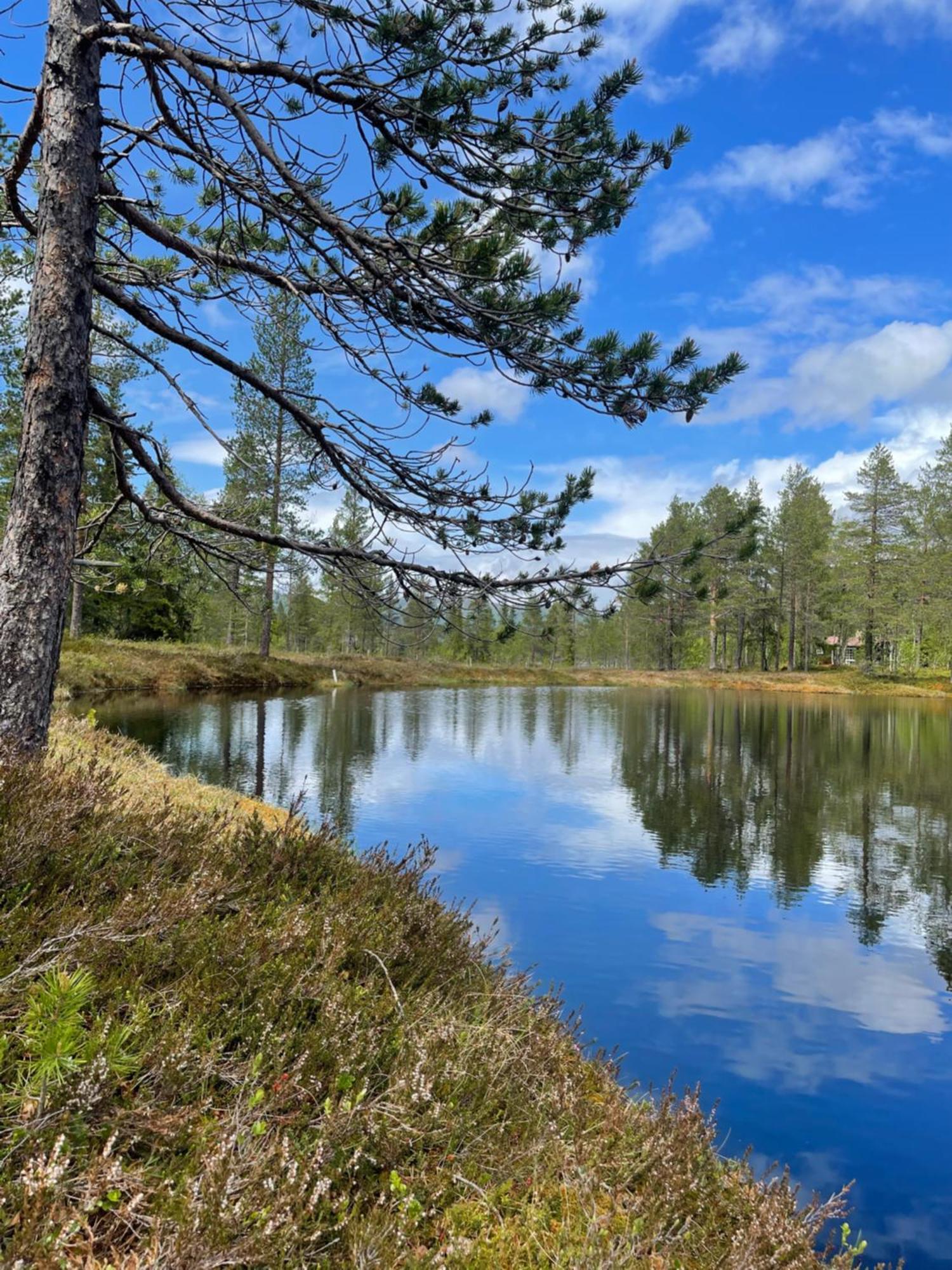 Hytta Pa Oyfjell Villa ภายนอก รูปภาพ