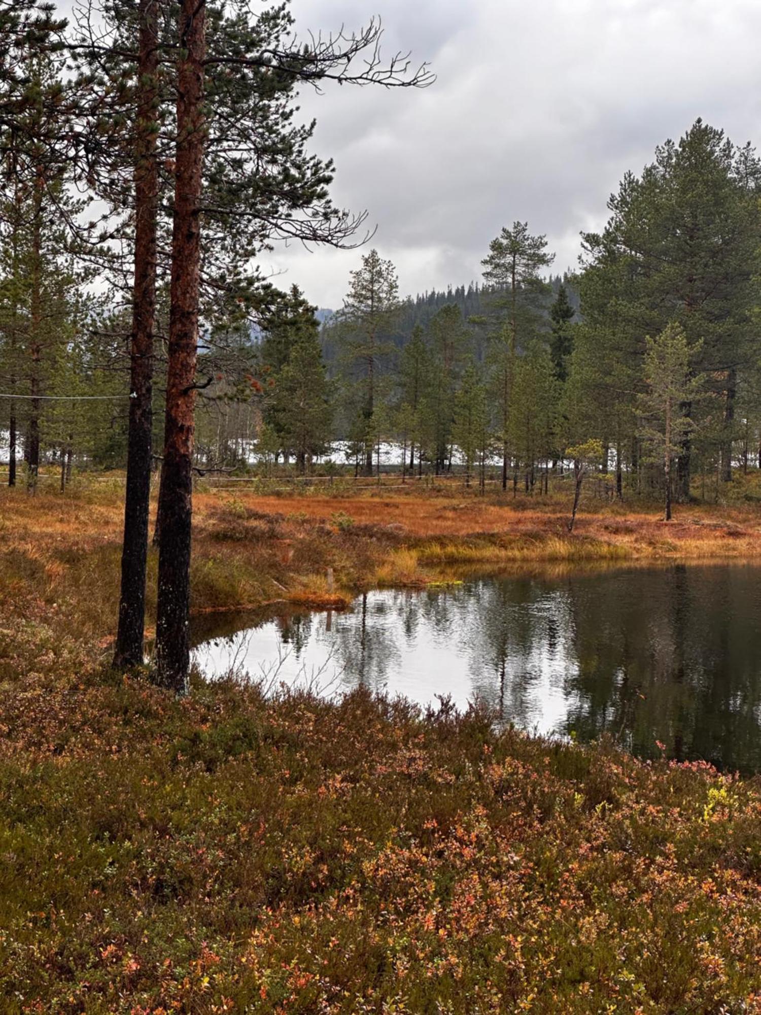 Hytta Pa Oyfjell Villa ภายนอก รูปภาพ