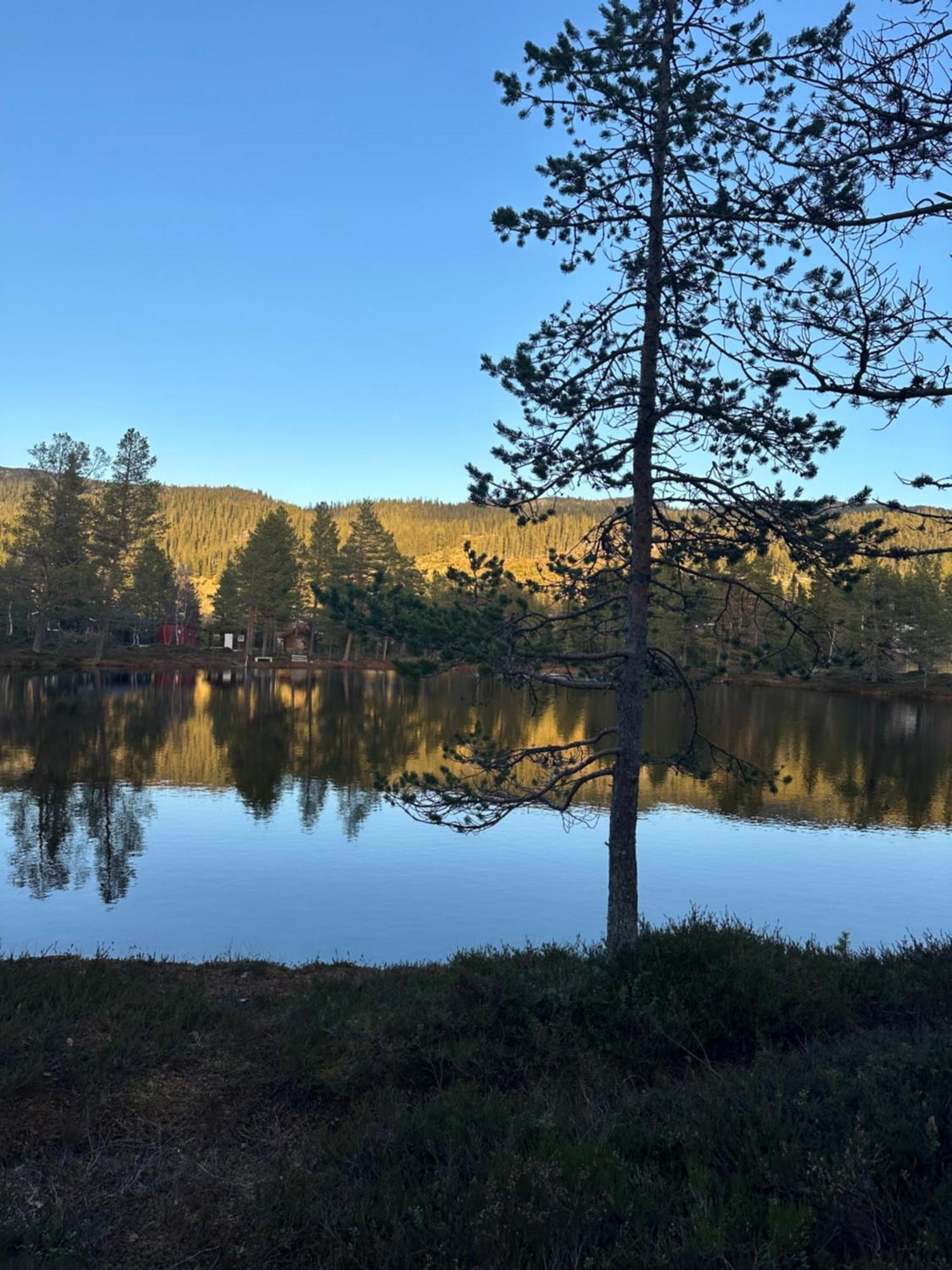 Hytta Pa Oyfjell Villa ภายนอก รูปภาพ
